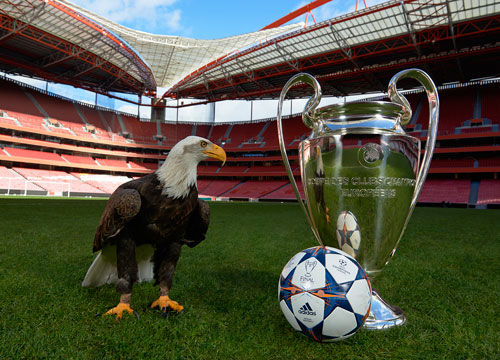 若上半场被 若上半场被